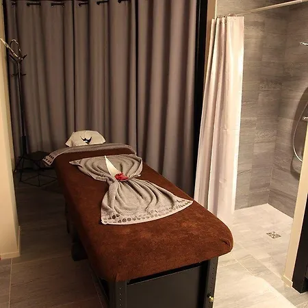 Отель Palladia 4*