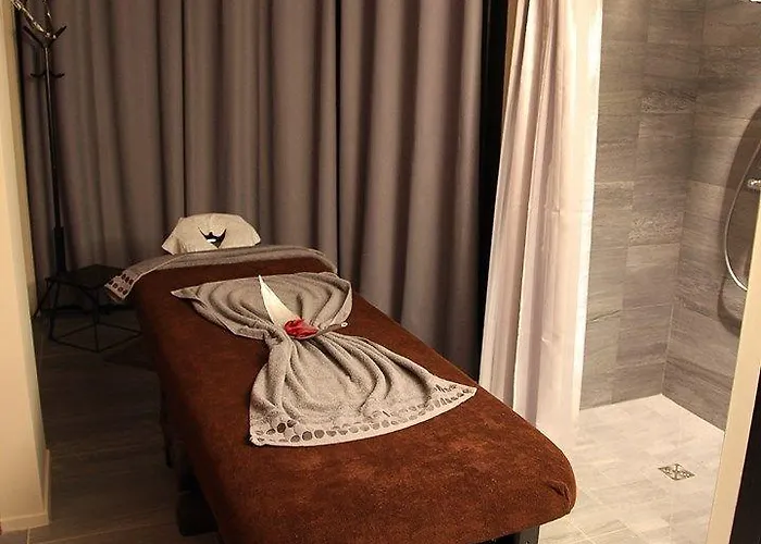 ホテル パラディア 4*